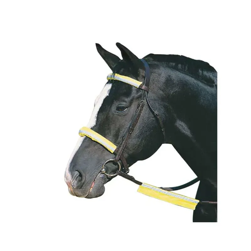 Roma One Size Reflective Bridle Kit in Yellow