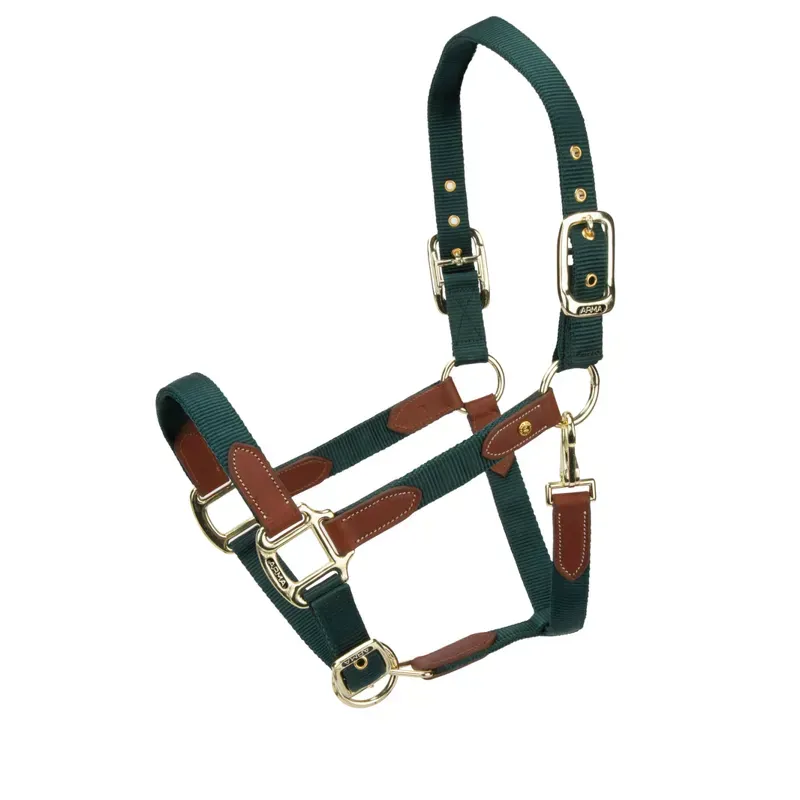 Arma Porto Headcollar in Green