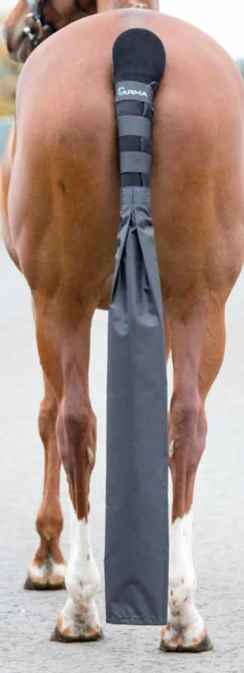 Shires One Size Arma Tail Guard With Detachable Tail Bag In Black