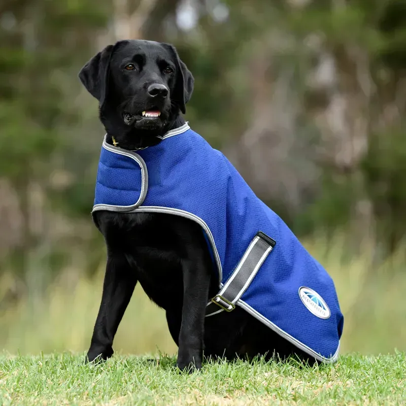 WeatherBeeta Medium ComFiTec Premier Free Parka Dog Coat in Dark Blue/Grey/White