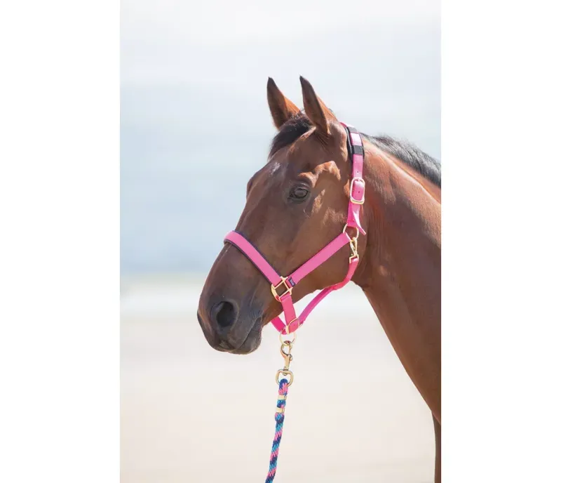 Shires Topaz Full Nylon Headcollar in Pink