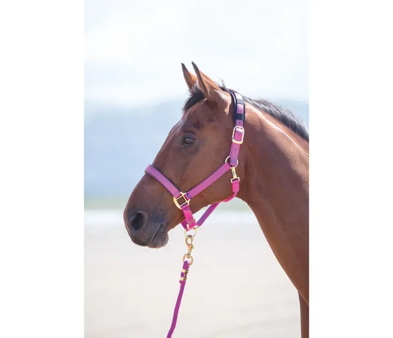 Shires Topaz XX Small Pony Nylon Headcollar In Raspberry
