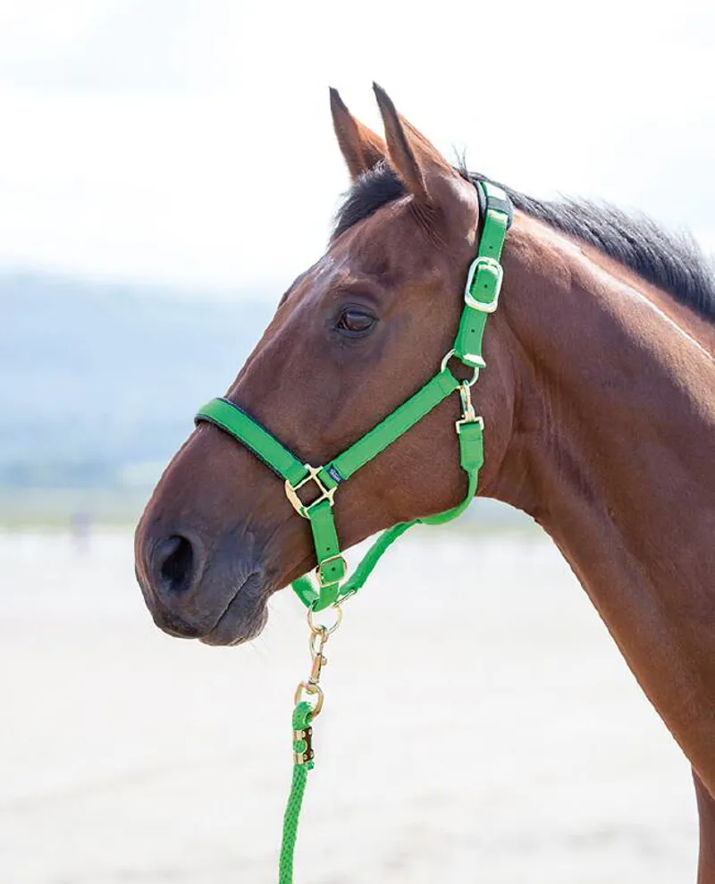 Shires Topaz Cob Nylon Headcollar In Green