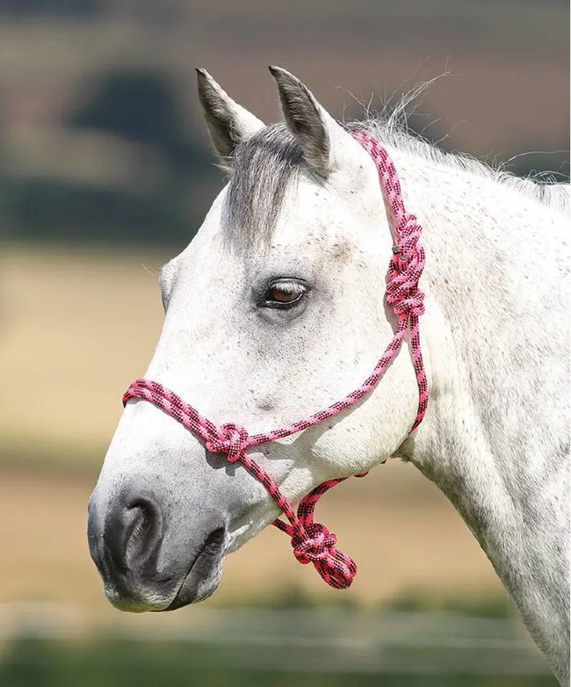 Shires One Size Rope Control Headcollar In Pink/Black