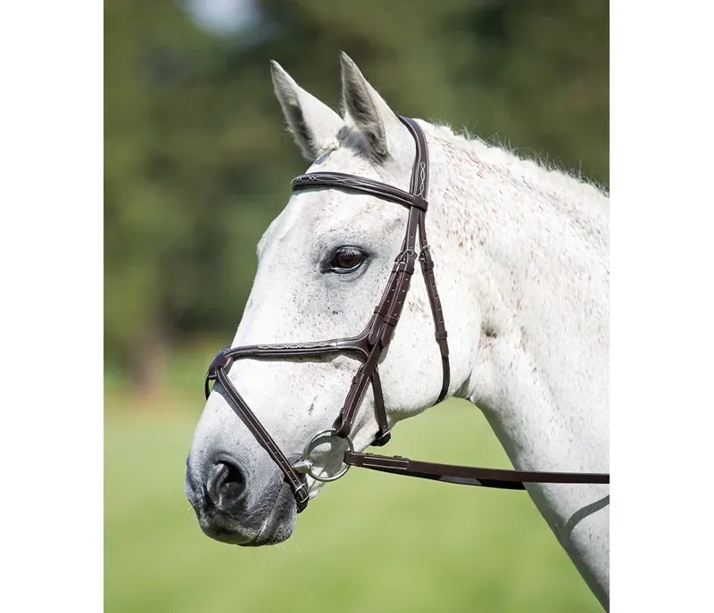 Avignon Grackle Bridle in Havana