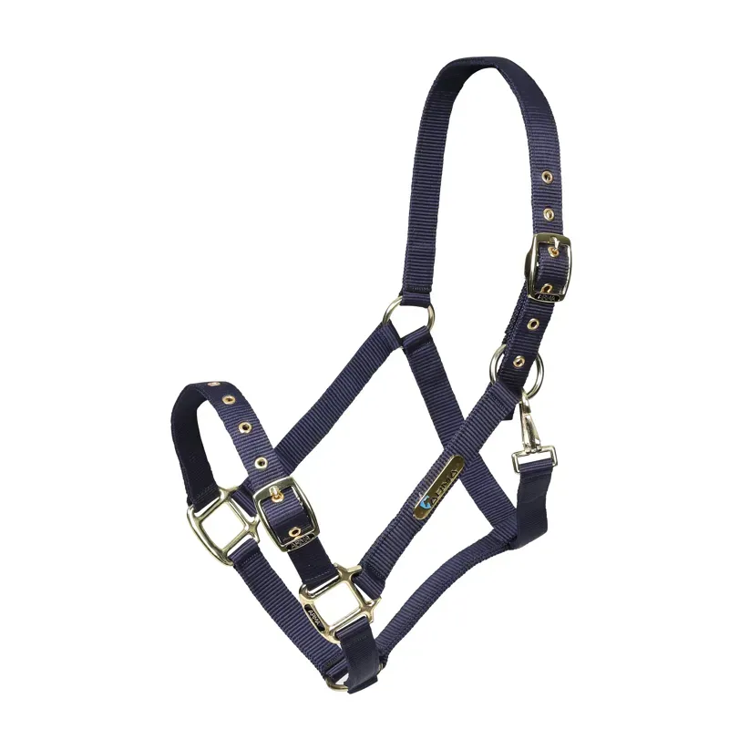 Arma Adjustable Headcollar in Navy