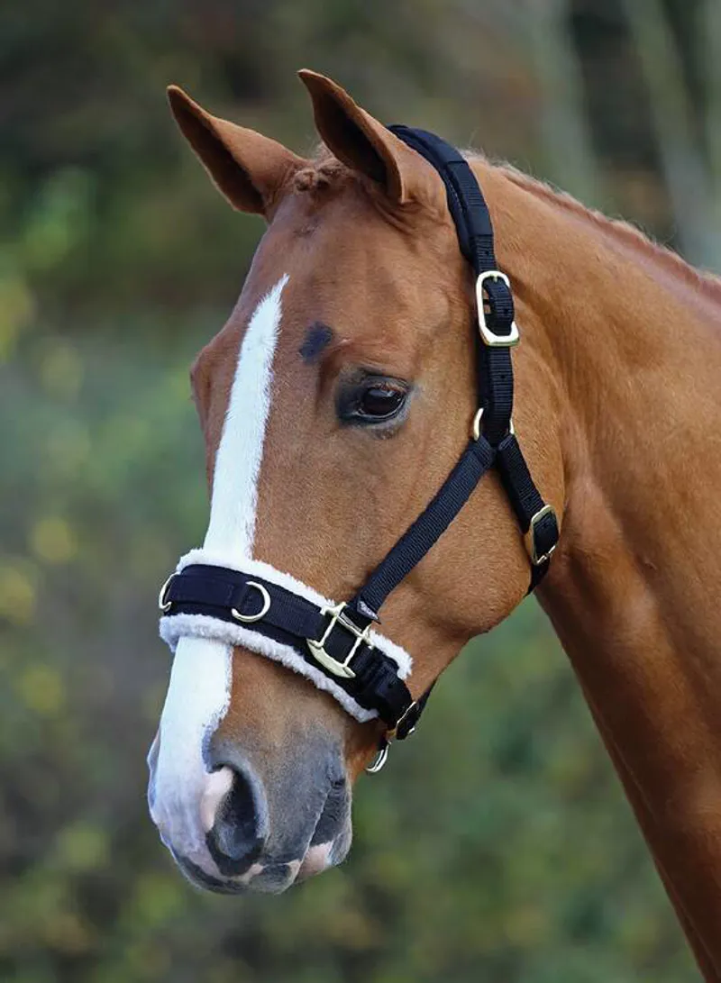 Shires Fleece Lined Lunge Cavesson In Black