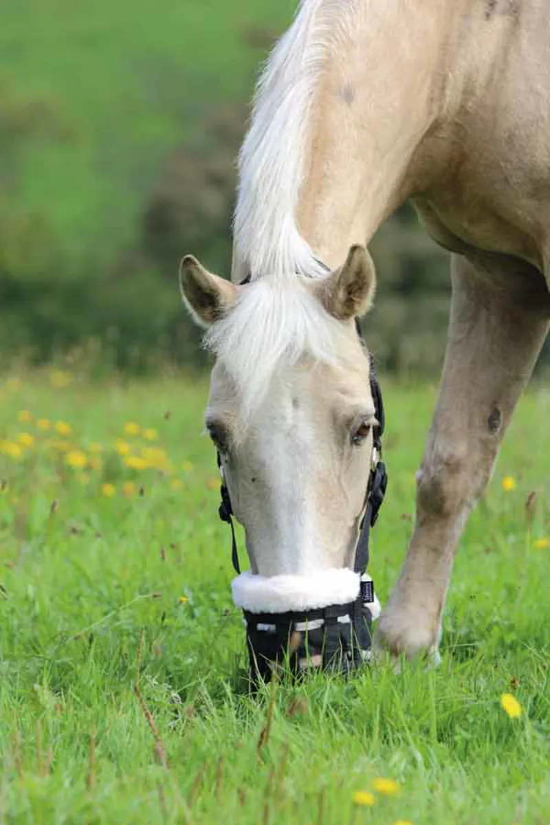 Shires Deluxe Comfort Grazing Muzzle