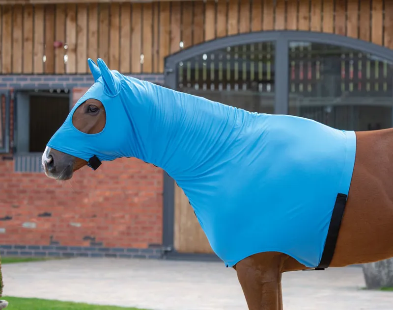 Stretch Hood Full Face Blue SPony