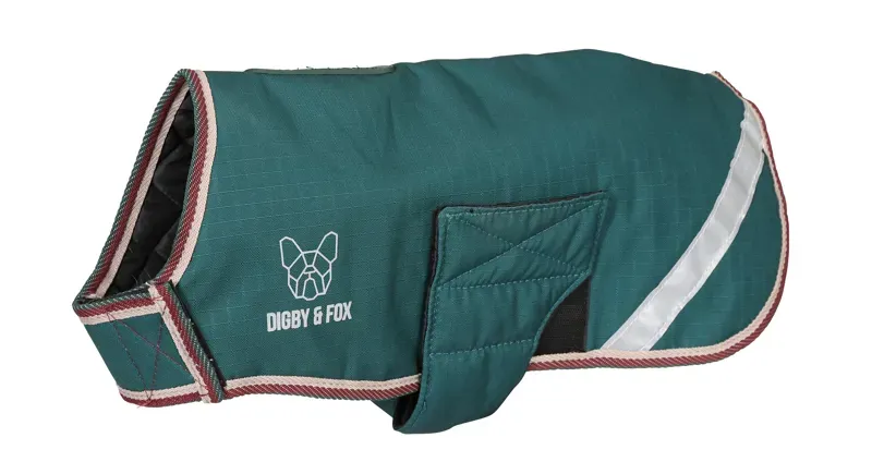 Digby and Fox XXL Waterproof Dog Coat in Forest