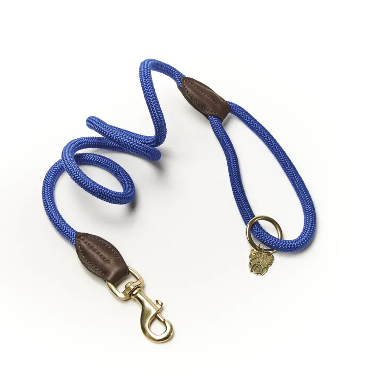 Digby and Fox Fine Rope Lead in Blue