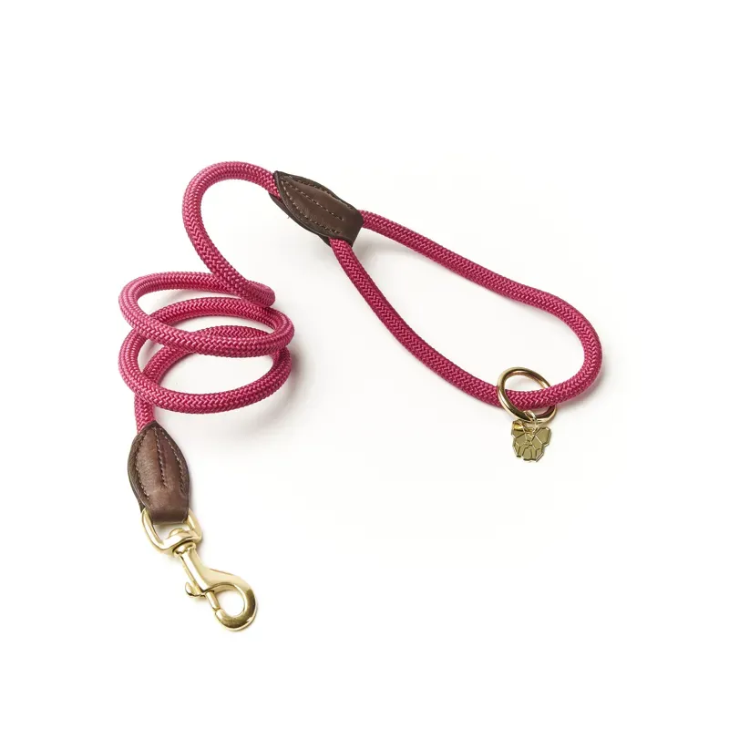 Digby and Fox Fine Rope Lead in Pink