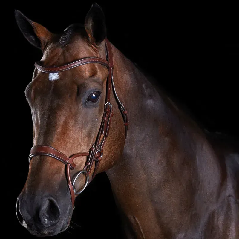 Collegiate ComFiTec Training Bridle in Brown