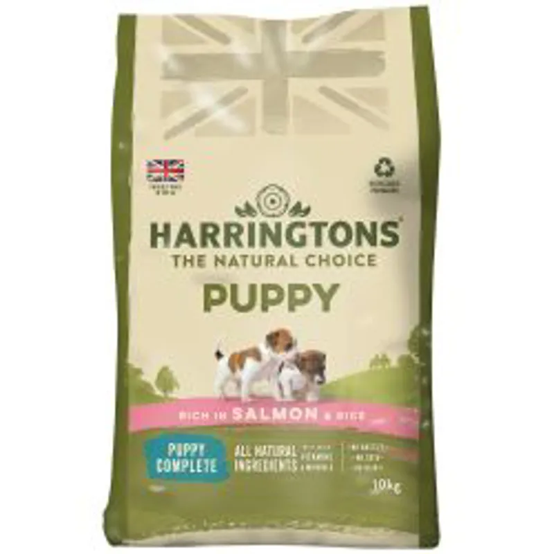 Harringtons Puppy Salmon