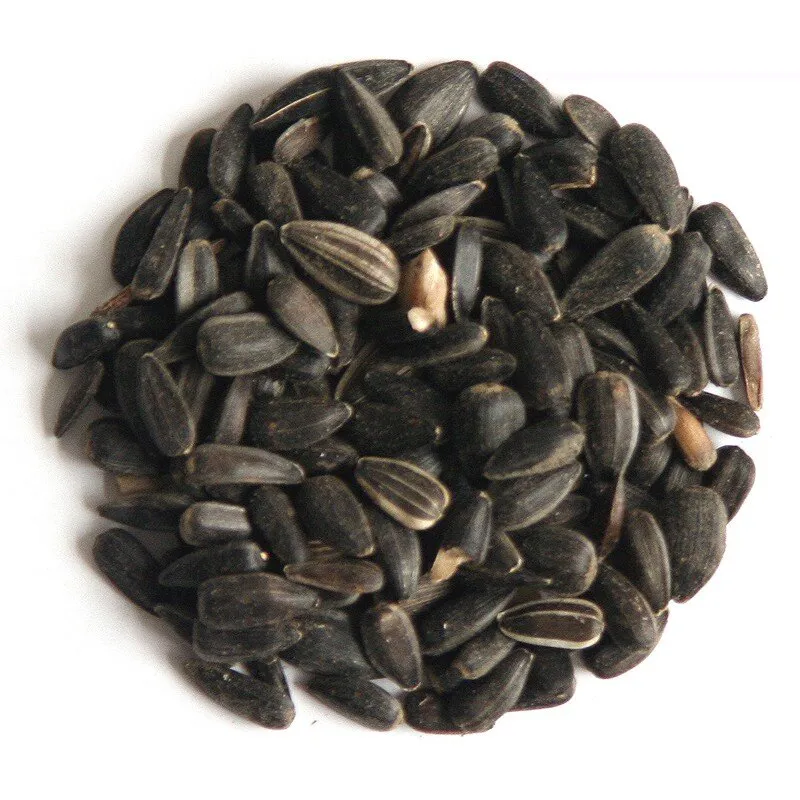 Hutton Mill Black Sunflower Seeds