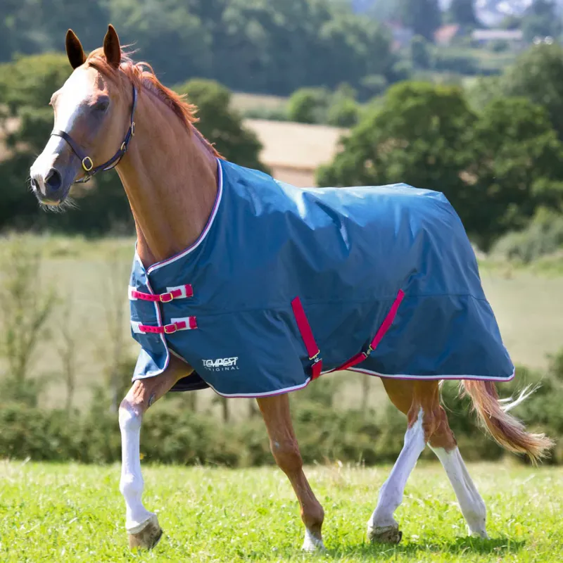 Tempest Original Lite Turnout Rug TEAL