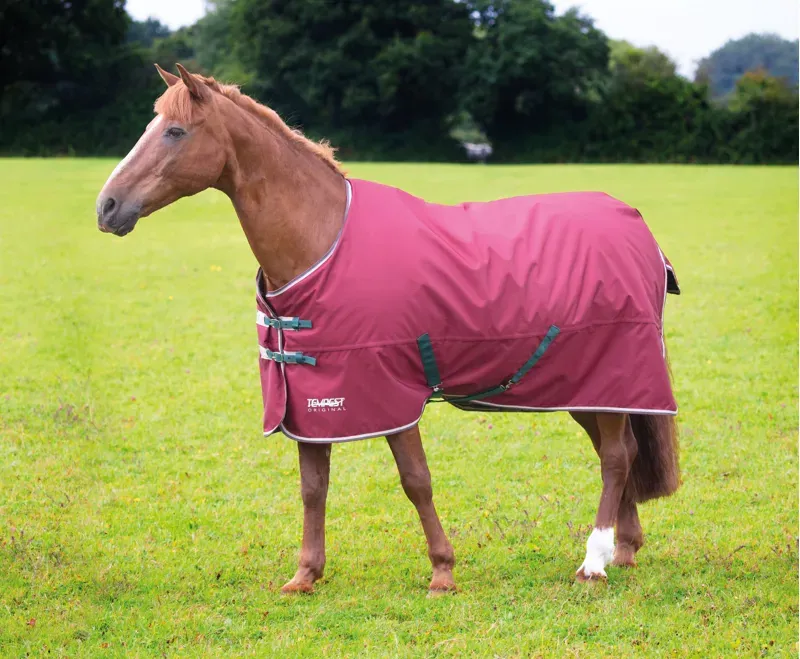 Tempest Original 200 Turnout Rug 2 in Maroon