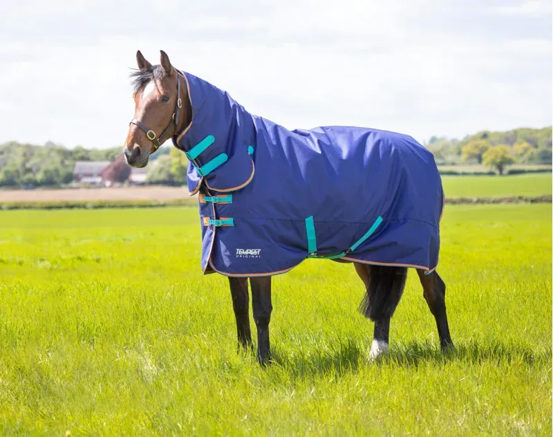 Tempest Original 100 Combo Turnout Rug in Navy Blue