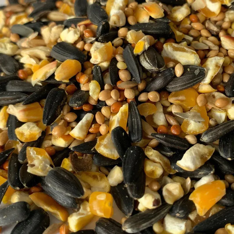 Buckets Wheat Free Wild Bird Seed