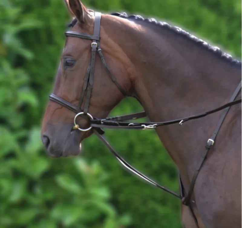 Hy Market Harborough in Brown