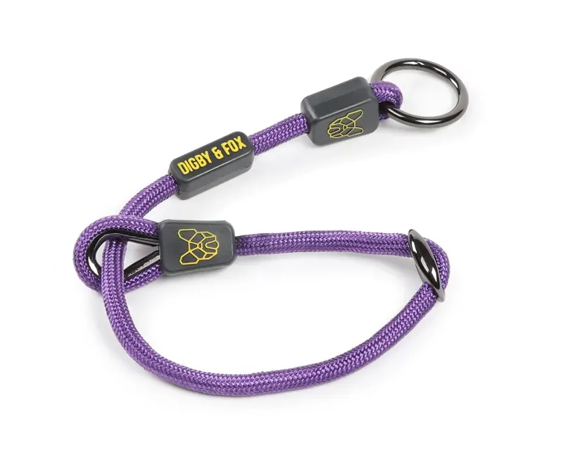 Digby and Fox Pro Slip Dog Collar in Purple