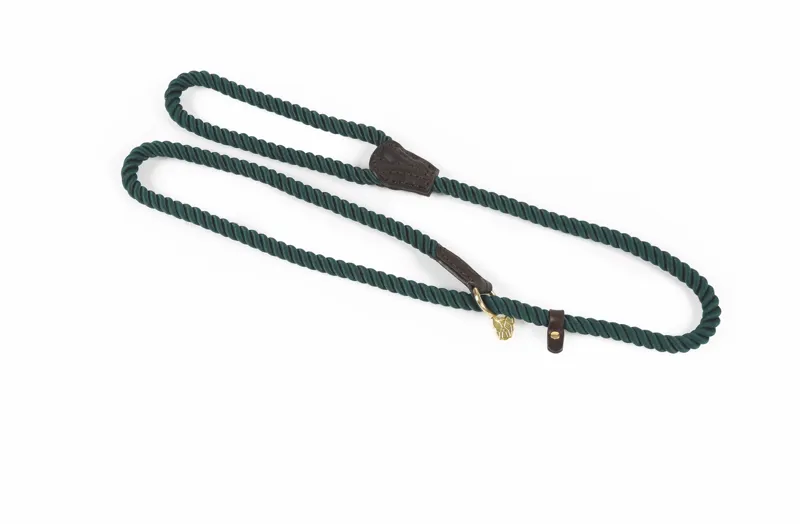 Digby and Fox Rope Slip Dog Lead in Green