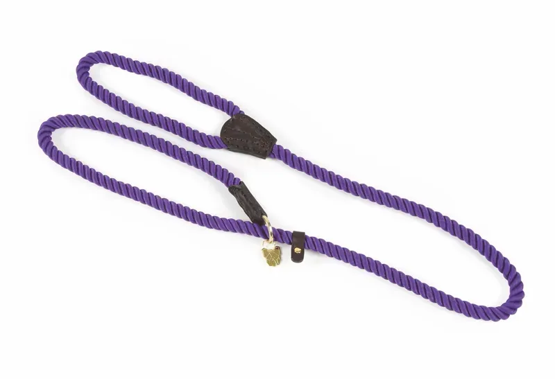 Digby and Fox Rope Slip Dog Lead in Purple