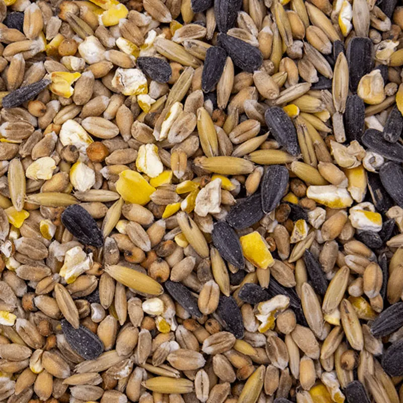 Buckets Wild Bird Seed