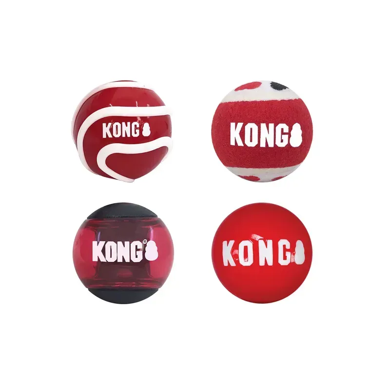 Kong Small 4 Pack Signature Balls in Assorted