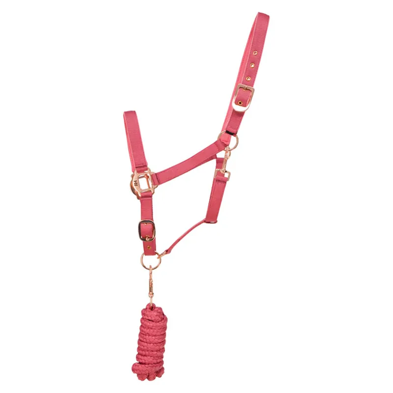 Hy Rose Gold Head Collar And Lead Rope in Blush Pink/Rose Gold