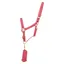 Hy Rose Gold Head Collar And Lead Rope in Blush Pink/Rose Gold