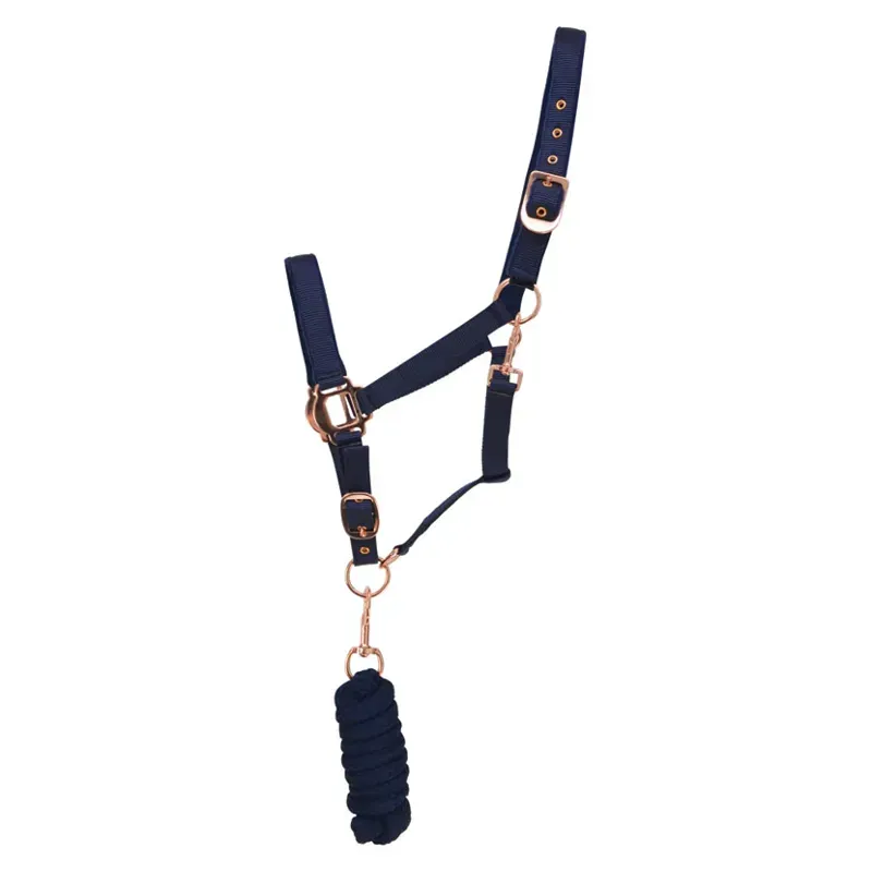 Hy Rose Gold Head Collar And Lead Rope in Navy/Rose Gold