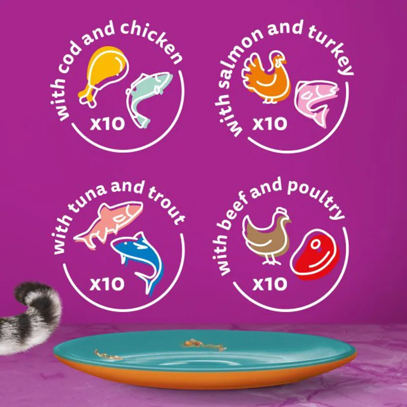 Whiskas 1+ Duo Surf and Turf in Jelly - 40 pouches-1