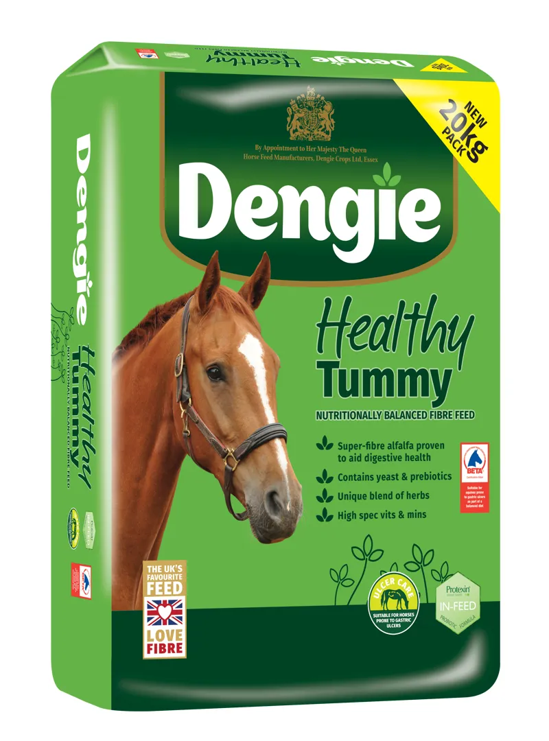 Dengie Healthy Tummy 