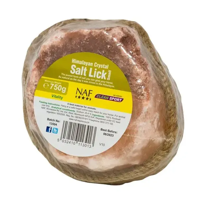 HIMALAYAN SALT LICK LRG