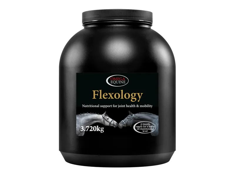 Omega Flexology-1