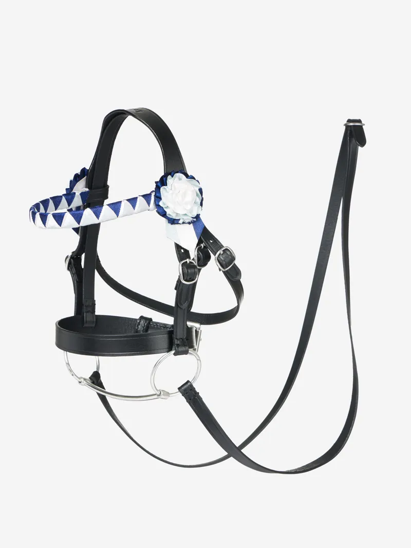 LeMieux Hobby Horse-5