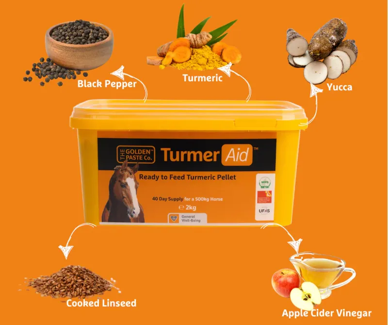 The Golden Paste TurmerAid 2Kg