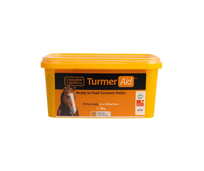 The Golden Paste TurmerAid 2Kg-1