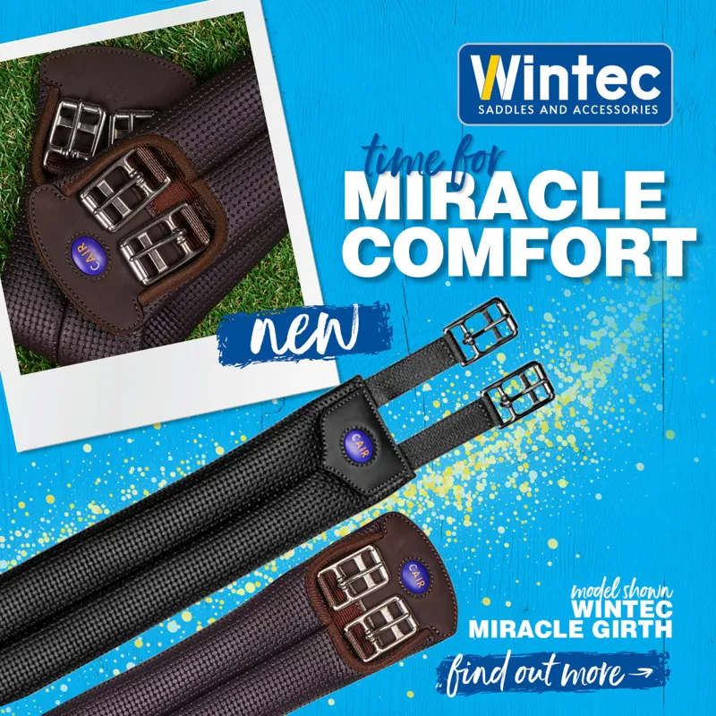 Wintec Miracle Girth Black-2