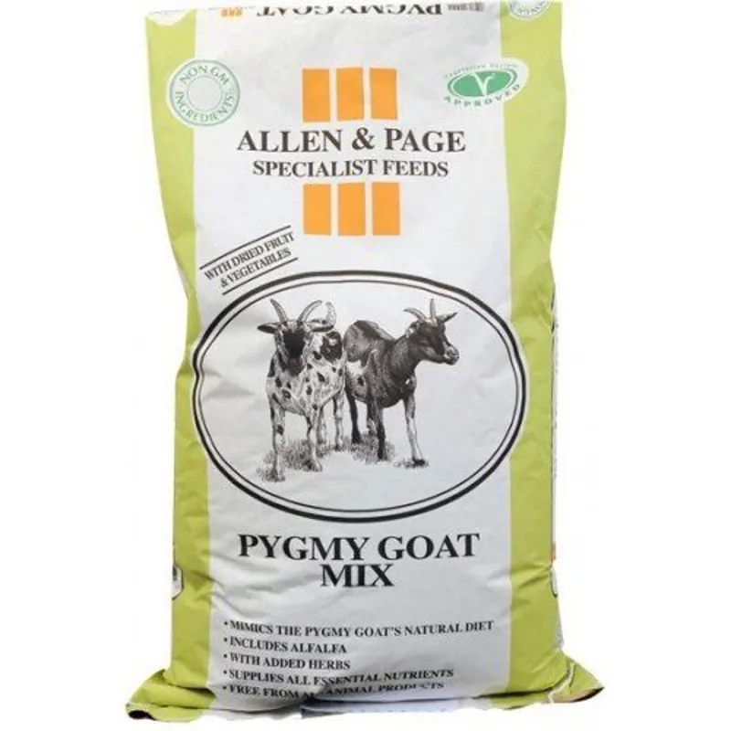 Allen and Paige Pygmy Goat Mix
