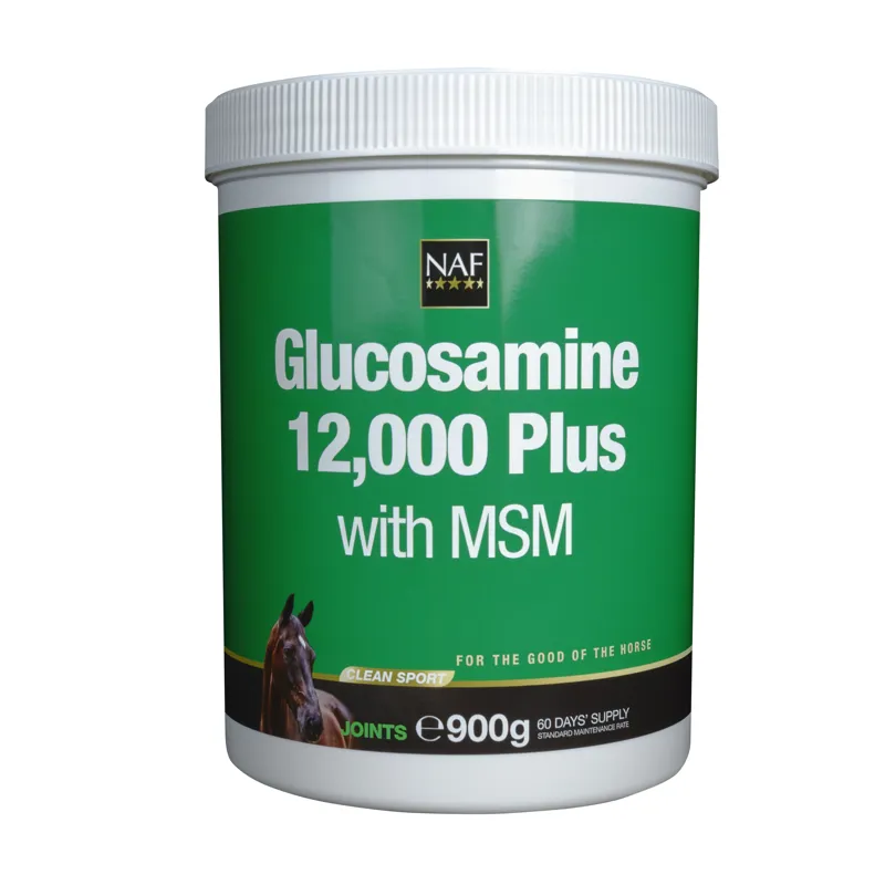 GLUCOSAMINE 12000 + MSM 0.900KG